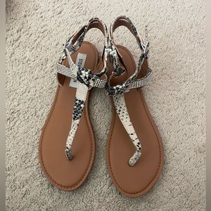 Steve Madden Snake Skin Sandals